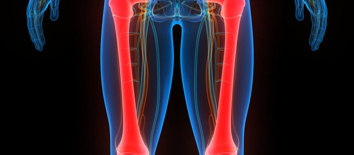 Le fémur : tout savoir sur l'os le plus solide du corps humain